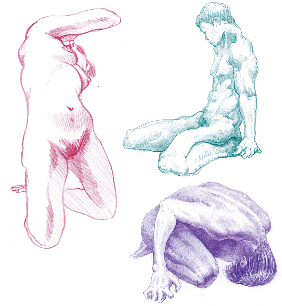 대지 1.png