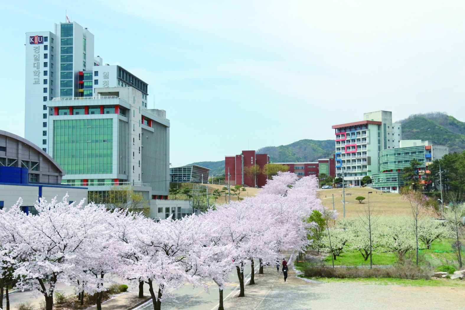 메인사진 복사.jpg